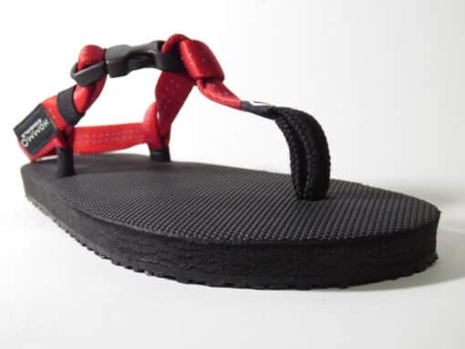 Eiger MTB (2025) - Image 3